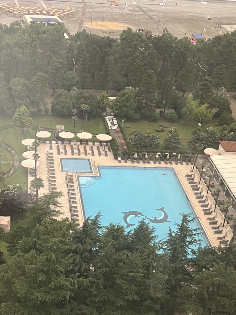 0DD85246-1C64-454A-8E24-FB3FA453A2A5