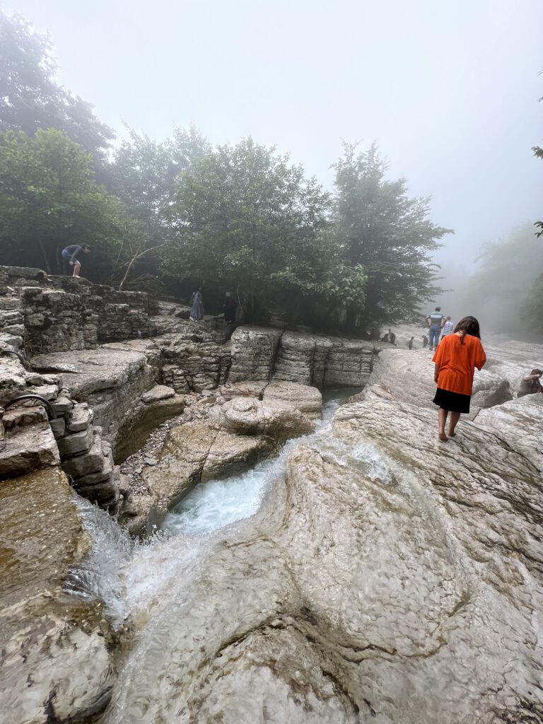 1123AC8F-B4BE-493A-AA4C-73D93D350812