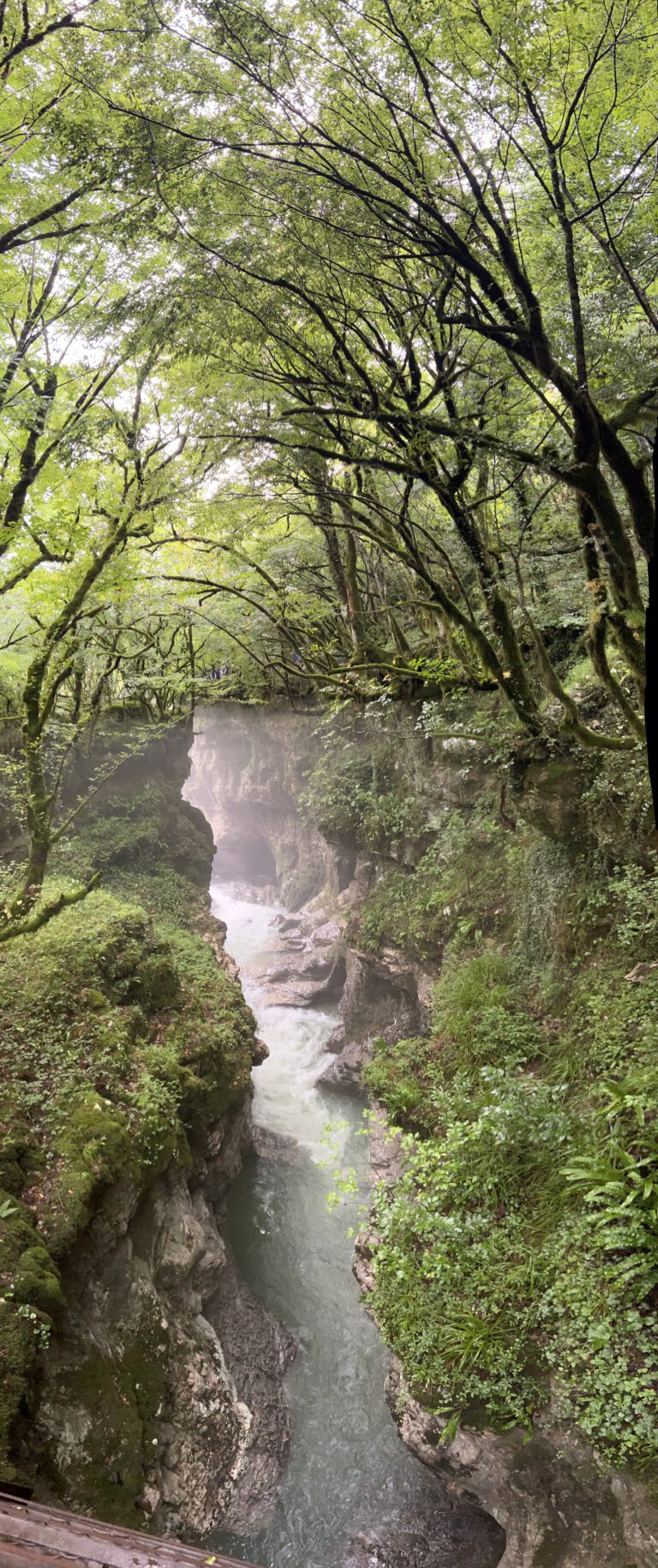 132ABFCC-3E6F-4C66-9825-5C4482D3EFF2