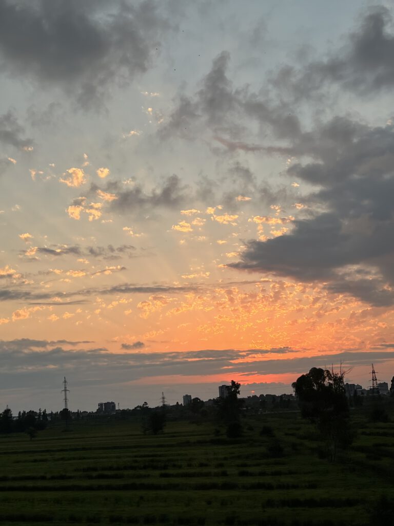 140E62C7-B745-41EA-950F-D1425BB4EFC8