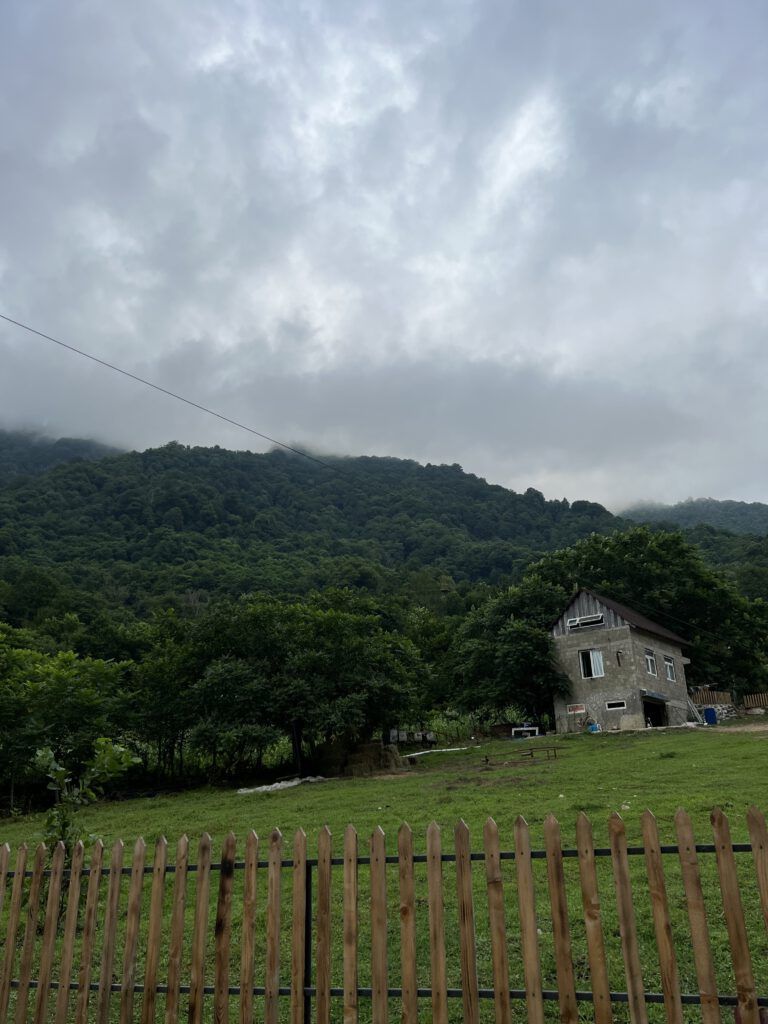 1E56FC96-D730-4DC7-BC9A-9F6B05DAC543