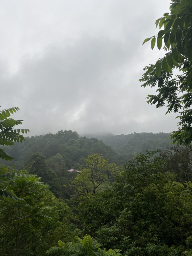 252825C8-CFF6-412E-B293-A52090A11B20