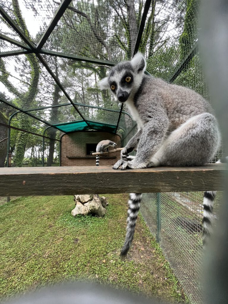 329C6450-C16D-4275-971E-DF95D69D613E