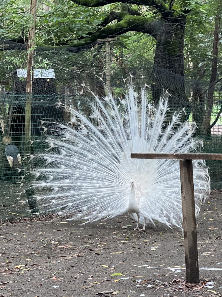 337D22C3-0B0F-4A0E-93E9-7CB8705D5592