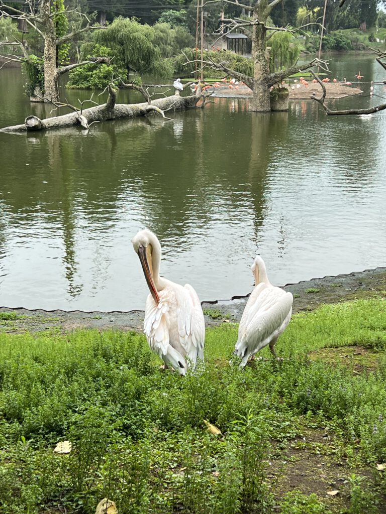 3B9E6FCF-ABA3-44EF-B3D8-1111990BE00D