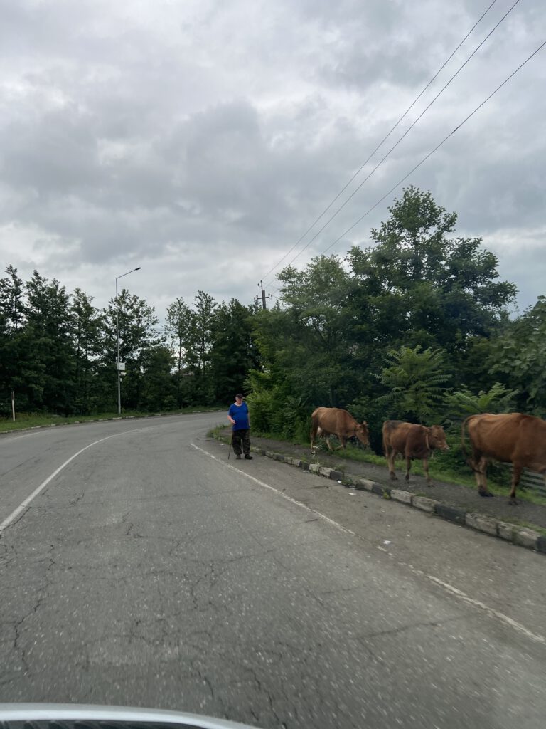 4AE48E09-3CCA-4283-93F7-55C680A304C9