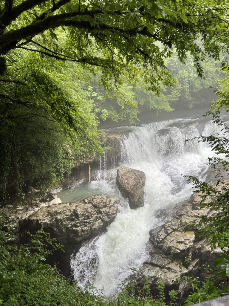 5B49F4C6-152D-417E-B2B0-B60332EAA6B0