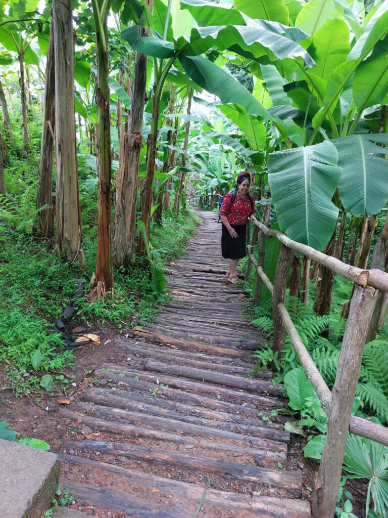 604051B7-D2E3-46DD-AEC6-0966ABA950C6