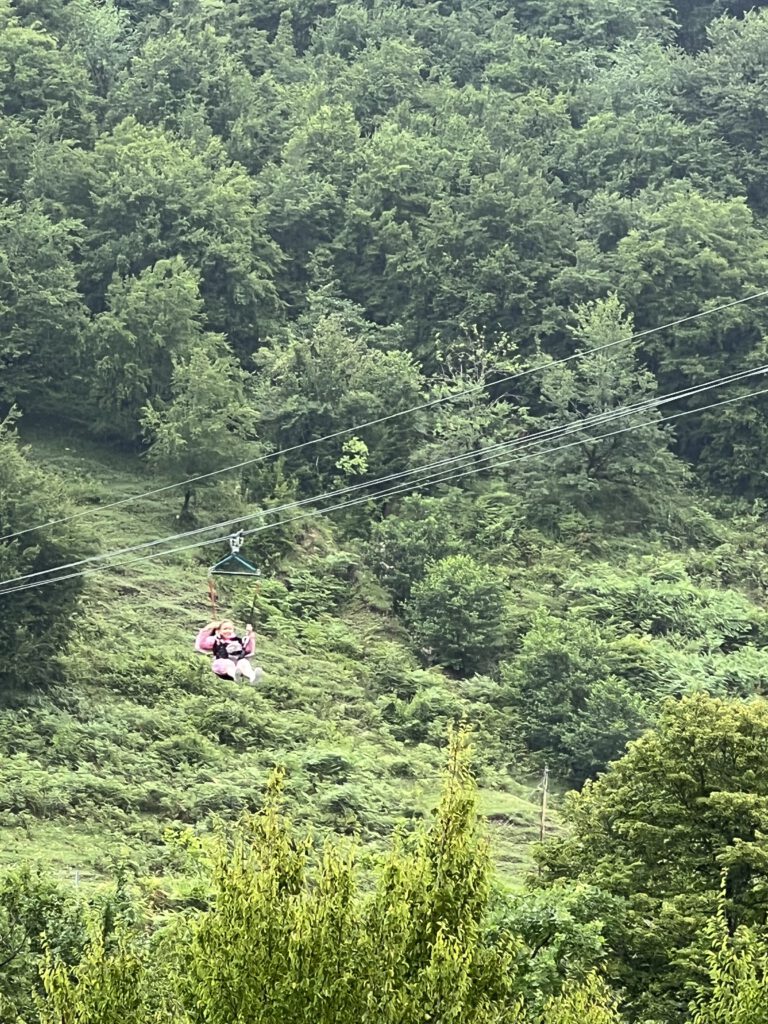 72FD8A5B-633E-4653-88E6-26696C558A8A