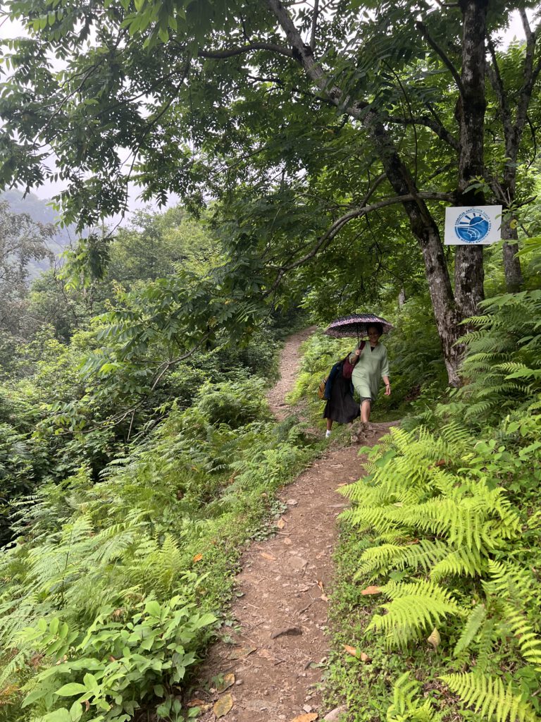 770CAFF4-A2A9-405A-A2F9-0C562D1A0A82