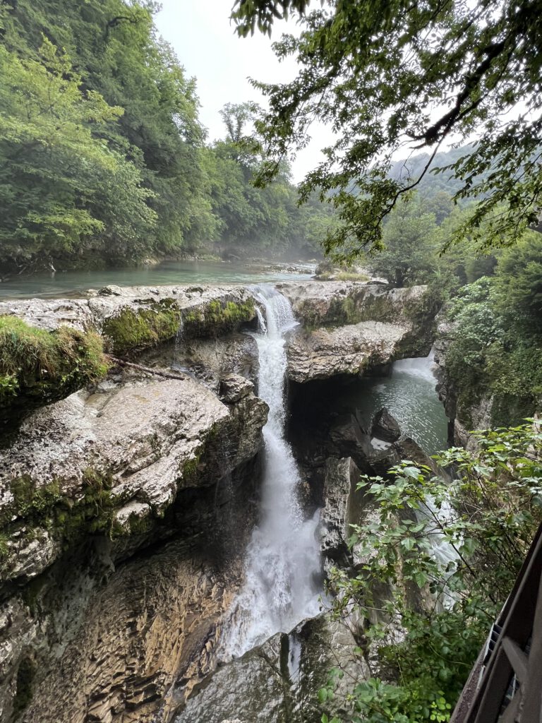 95F63B71-3D24-49D6-A6C1-367928F24D02