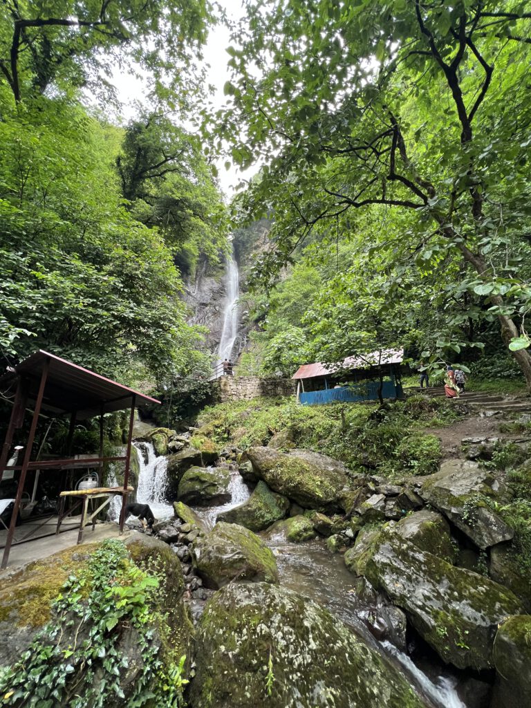 B47A5558-DA61-447C-B92F-5F7B5107394D