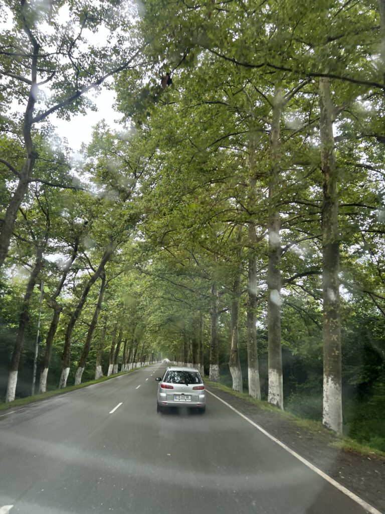 FF837784-062B-4C56-B49A-6DCDA6ADB754