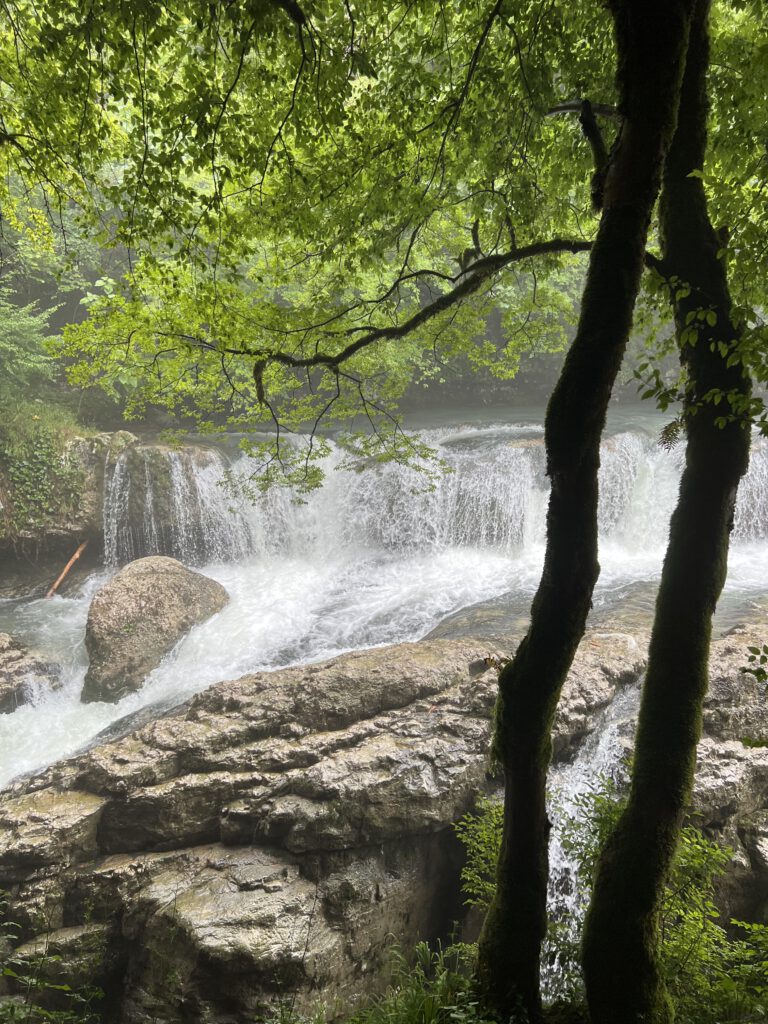 FF8CACF5-FFD4-4F7F-AE31-1C3C93D4FC93